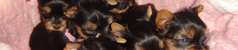 DSC05681